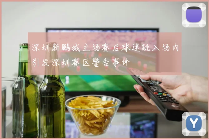 深圳新鹏城主场赛后球迷跳入场内引发深圳赛区警告事件
